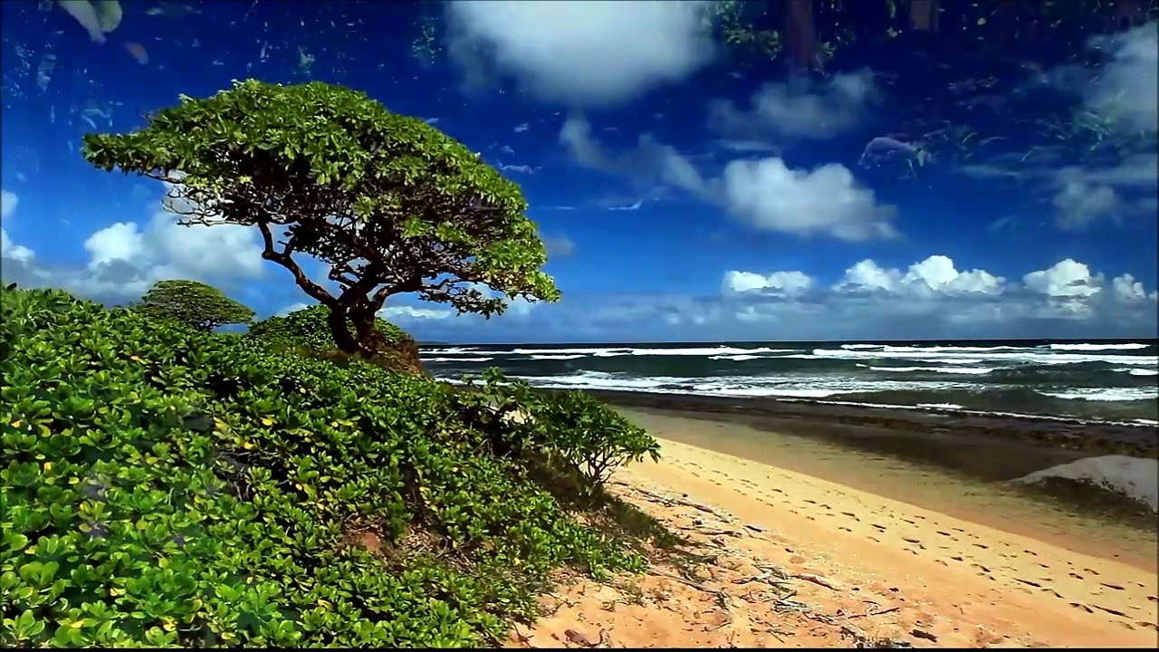 Beegees - Islands in the Stream