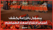 التصدير ليس السبب.. مسؤول بوزارة الزراعة يكشف أسباب ارتفاع أسعار الطماطم