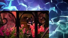 Days of our Lives 5-19-26 (19th May 2026) 5-19-2026 DOOL 19 May 2026