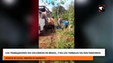 LOS TRABAJADORES NO VOLVIERON DE BRASIL, Y EN LOS YERBALES FALTANTAREFEROS