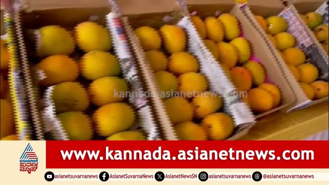ಮಾವು ಬೆಳೆಗಾರರಿಗೆ ಜಾಗತಿಕ ಯುದ್ಧದ ಭೀಕರ ಶಾಕ್! ದಿಢೀರ್ ಕುಸಿತ! | Mango Market Price Crash | Suvarna News