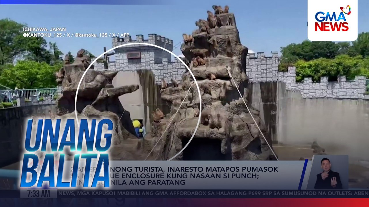 2 Amerikanong turista, inaresto matapos pumasok sa Macaque enclosure kung nasaan si Punch; itinanggi nila ang paratang | Unang Balita