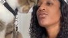 Cat Swats Woman During Playful Moment