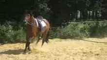 MVI_2410