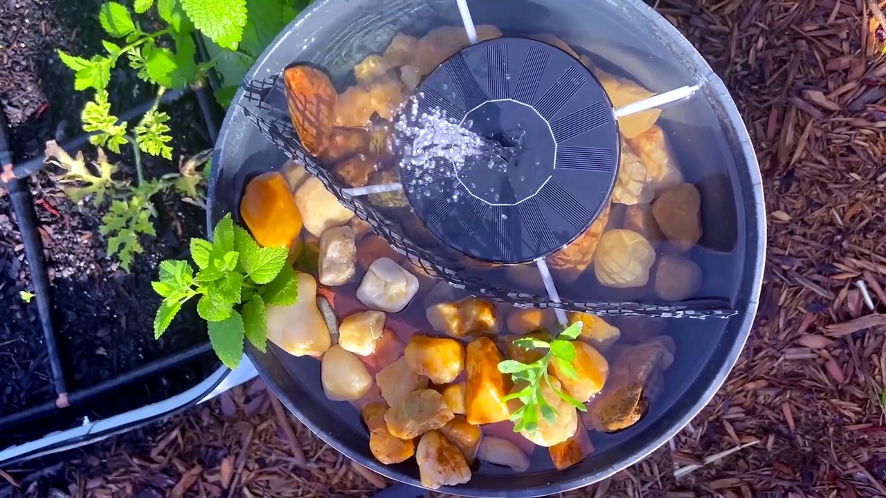She Turns A Walmart Barrel Into A Garden Masterpiece!