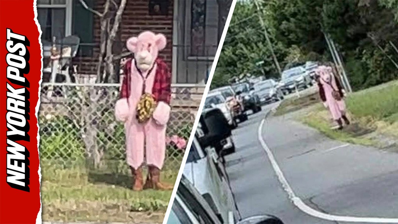 Creep in Pink Panther costume allegedly hunts down kids in Virginia – nearly abducts little girl