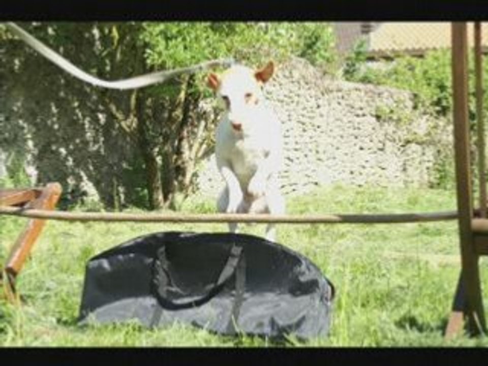 Troudy et chipie 2