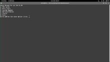 AlmaLinux Update auf der Kommandozeile in der Bash