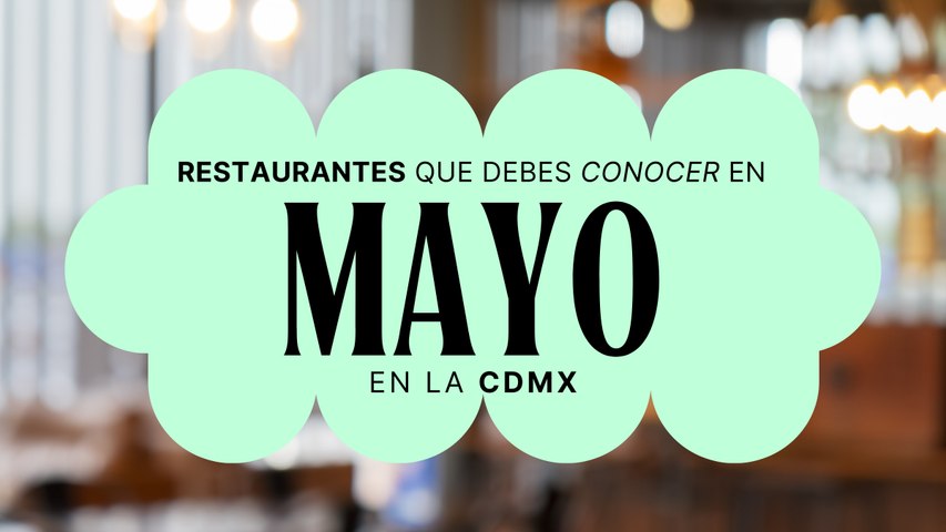 Restaurantes que tienes que visitar en Mayo