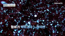 모세혈관이 막히면 '뇌출혈' 위험성까지?! 혈관 건강이 필수적인 이유