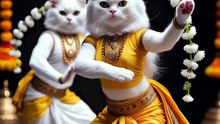 Persian Cats Perform Magical Bharatanatyam Dance 😻✨💃