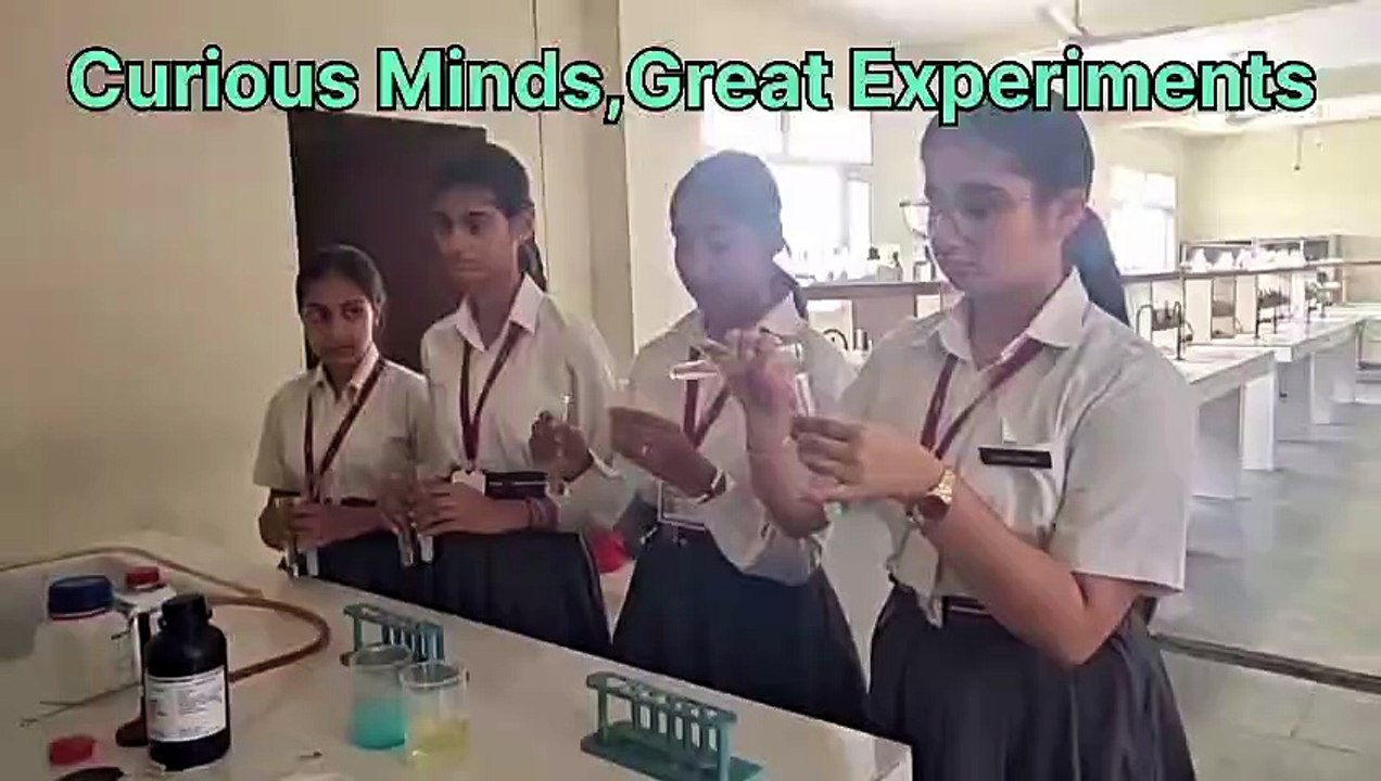 Class X Newton Performing Displacement & Double Displacement Reaction | BIPS Patiala