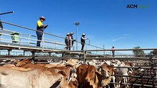 Charters Towers Prime and Store sale