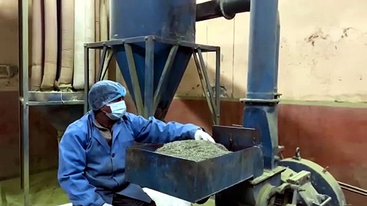 Henna Manufacturing Process | Henna Manufacturers in India | Sojat Henna Supplier