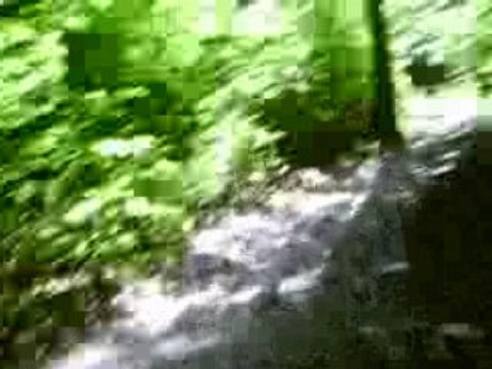 ttqq