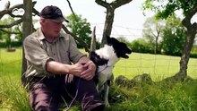 Dogs and Us The Secret of a Friendship