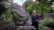 How to build a dinosaur 恐龙是怎样炼成的