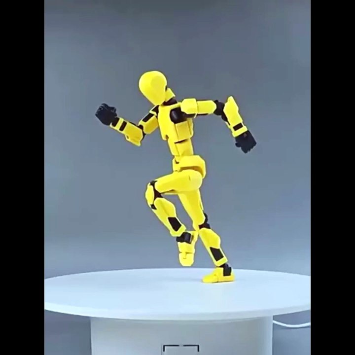 Dummy 13 joint figure