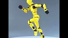 Dummy 13 joint figure