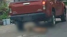Public outrage as pickup truck seen running over dog in viral video