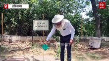 गर्मियों में मधुमक्खीपालक इन बातों का रखें ध्यान, शहद से होगी बंपर कमाई, जानें क्या कहते हैं कृषि वैज्ञानिक