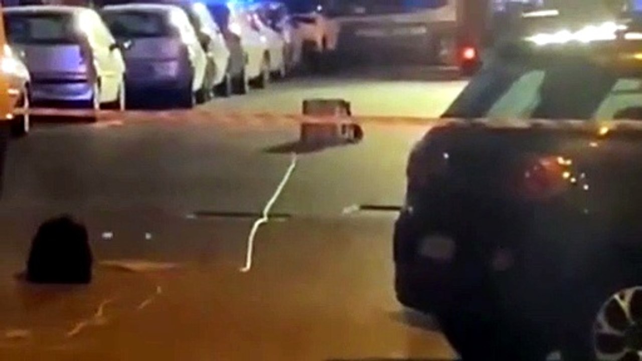 Palermo, pacco sospetto in via Marchese di Villabianca: artificieri in azione di notte. Il video