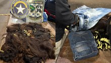 Receita Federal apreende 15 quilos de cabelo humano na Ponte da Amizade
