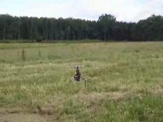 TREX 500 - Looping - DESMO4