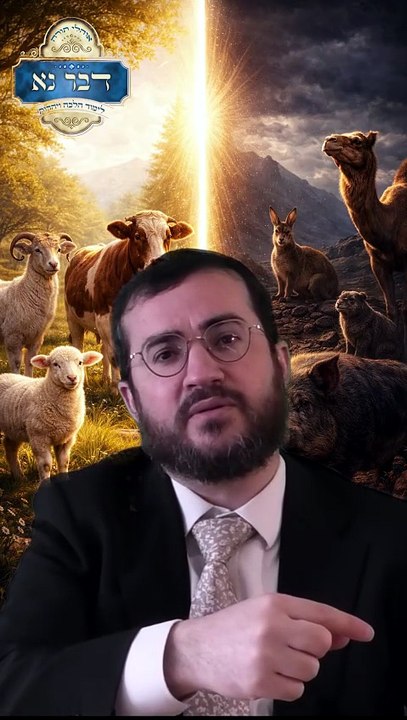 שמיני - סימני הכשרות של בעלי החיים, הוכחה לתורה מן השמים | זואולוג והרב יודלביץ' | רבי דוד בכר