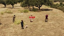 Día de caza Tráiler
