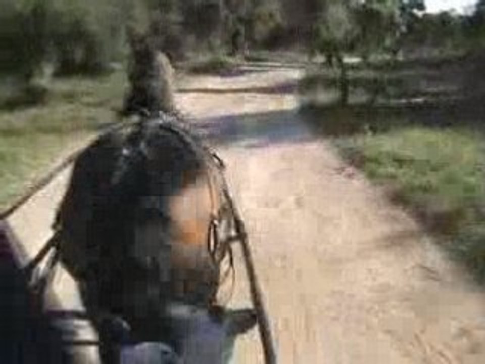 Galop 2