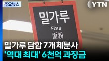 6년 밀가루 담합한 7개 제분사...'역대 최대' 6천710억 과징금 / YTN