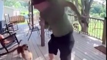 Funny Dog Porch Moment Caught on Camera | Funny Pet Video 2026
