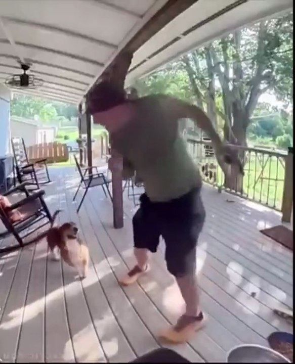 Funny Dog Porch Moment Caught on Camera | Funny Pet Video 2026