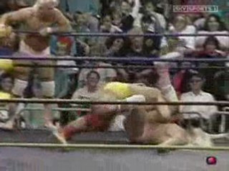 Worldwide.wrestling.10.12.91.Patriots vs Rip Rogers/Paul Lee