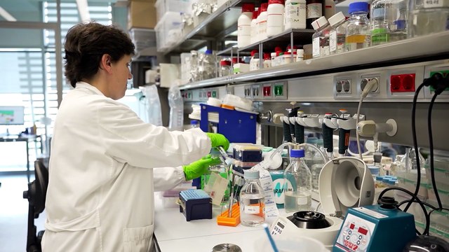 El Parc de Recerca de Barcelona cumple dos décadas de colaboración científica