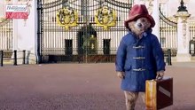 Olivia Colman, Antonio Banderas, Rachel Zegler and More Join 'Paddington 3' Cast | THR News [Full Movie]