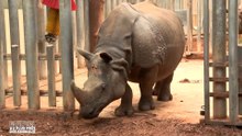 Beauval, au plus près des animaux