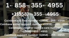 ≋ ¶ ¶ 《FAQ Again》】 ⁂Coinbase® Official Customer Care© Helpline® Numbers Contact⁂ ⁂Live Agent Support)
