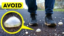 Unsolved Phenomena: Human Cells in Rainfall and the Earth’s Mysterious Hum