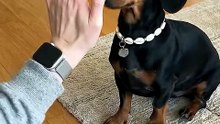 Ripley High Fives!