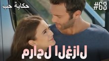 مشاهد الغزال