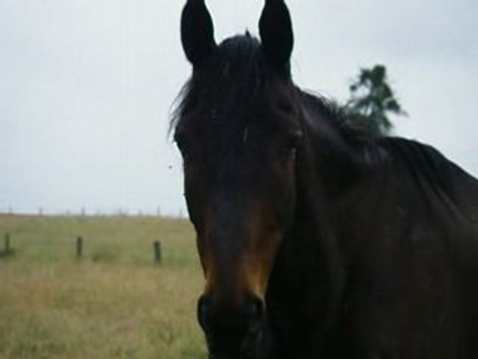 IMGP0116