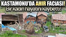 Kastamonu’da Ahşap Ahır Çöktü: Bir Kadın Yaşamını Yitirdi, Çok Sayıda Hayvan Telef oldu!