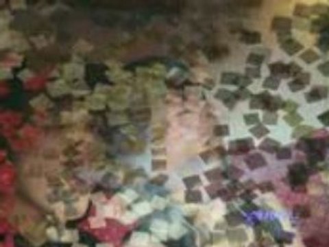 Faite bander les Coches