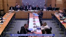 Une réforme pour moraliser et encadrer le sport professionnel