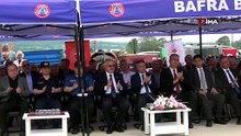 Bafra Ovası’nda çeltik mesaisi başladı: Üretimin kalbi yine Bafra
