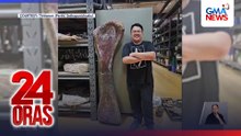 Pinakamalaking dinosaur species sa Southeast Asia, nadiskubre sa Thailand | 24 Oras
