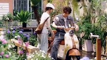 【红果短剧合集】　那年夏夜晚风吹（74集）卡戎＆林秋奈