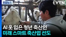 AI 옷 입은 청년 축산인...미래 스마트 축산업 선도 / YTN